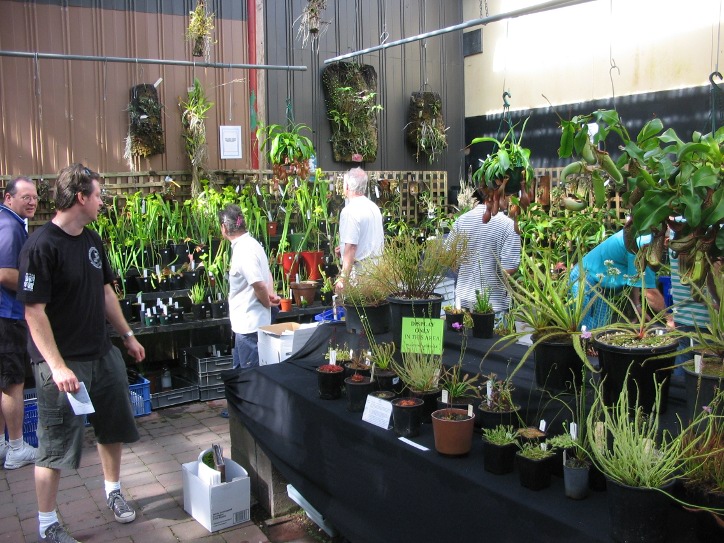 VCPS show 2010